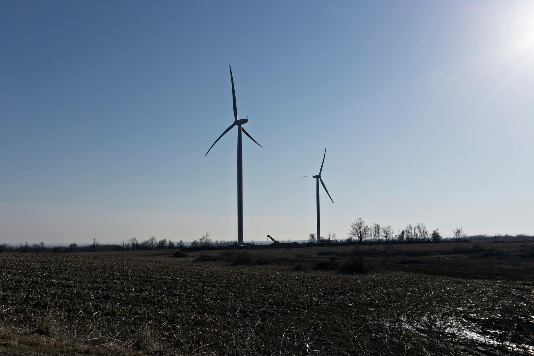 A wind turbine standing above a treeline at dusk under a tall bank of cloud, on the Ganaraska wind farm in southern Ontario.